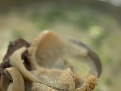 -胡世羊肉汤(南街店)