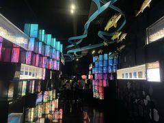 -同济大学四平路校区深海探索馆