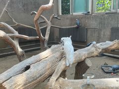 -大连森林动物园