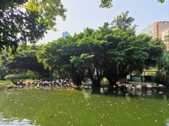 -九龙公园