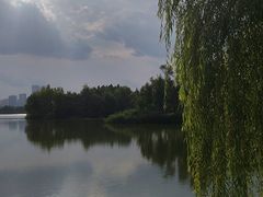 -洋湖国家湿地公园
