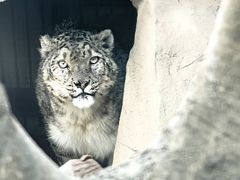 -青藏高原野生动物园