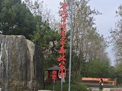 -合肥滨湖国家森林公园