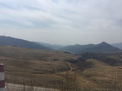 -空中草原