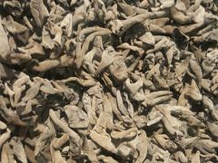 -青石桥市场北1-27号