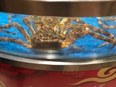 -盒马鲜生(财富中心店)