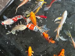 -天津海河悦榕庄·Lobby Lounge大堂吧