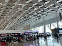 -郑州新郑国际机场-T2航站楼