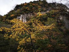 -青峰峡国家森林公园