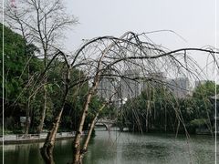 -柳侯公园