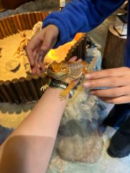 -酷嗒动物文化乐园(cutezoo西溪乐天城店)