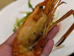 茅台花雕醉金钱虾-甄御•海鲜新青岛菜(麦岛店)