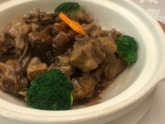 松茸排骨煲-万宝海鲜舫(劳动公园店)
