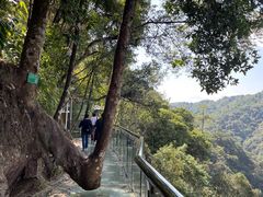 -九龙江国家森林公园