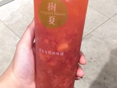 -树夏(建设路店)