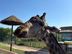 -鄂尔多斯野生动物园