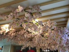 -碧中海汤泉汗蒸酒店