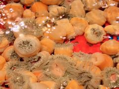 -兴仙饭店·闽味海鲜(马尾总店)
