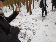 -武陵山森林公园