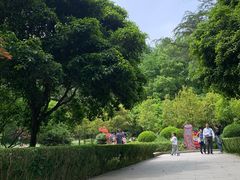 -上海佘山国家森林公园天马山园