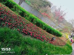 -重庆彩云湖湿地公园