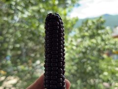 -品味泸沽湖•民族特色菜(大落水店)