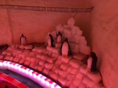 -白鹿仓冰雪海洋世界