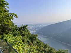 -铁山坪森林公园