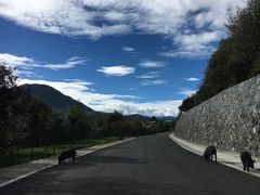 -比日神山