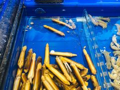 -万宝海鲜舫(劳动公园店)