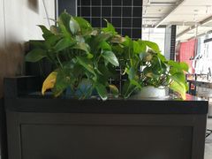 -肯德基(南安中骏世界城店)