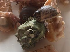 -罗源湾8号渔排