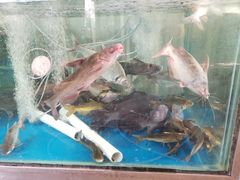 -虾王农家乐(鼎湖店)