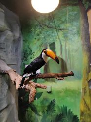 -Zoolung Zoolung动物主题公园(海信广场店)