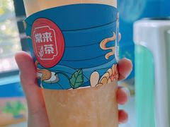 -常来茶·水果研究所(西溪里店)
