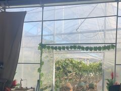 -马陆小张葡萄园农家乐