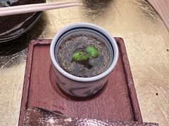 -鮨政·Omakase(港汇恒隆广场店)