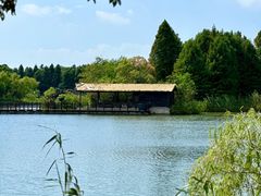 -苏州太湖国家湿地公园