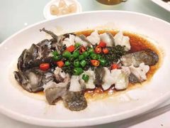 葱油捞鲈鱼-宝园酒家(美林M·LIVE天地东座店)
