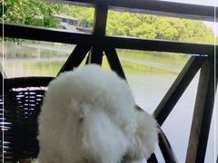 -张鸟园农家乐(张鸟园店)