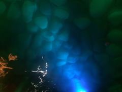 -杭州第一世界大酒店·云曼温泉