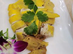 -墨脱石锅椰子鸡•香草鸭•东山羊(大东海店)