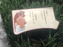 -青城道汤池