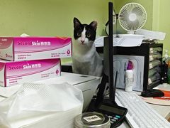 -瑞鹏宠物医院·夜间急症·心超·猫科(祖庙分店)