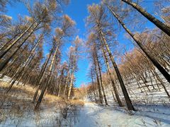 -塞罕坝国家级自然保护区