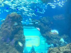 -海合安武汉极地海洋公园