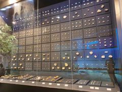 -北京周口店北京人遗址博物馆
