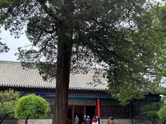 -孔府