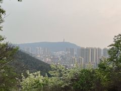 -青龙山国家森林公园