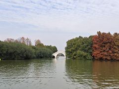 -上海海湾国家森林公园